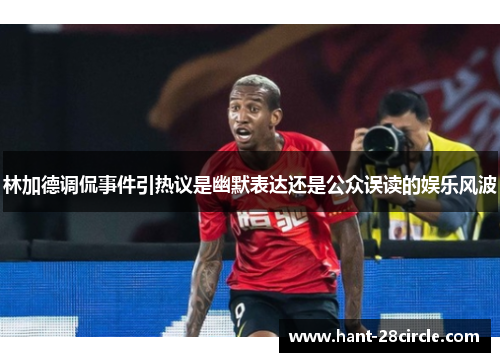 林加德调侃事件引热议是幽默表达还是公众误读的娱乐风波