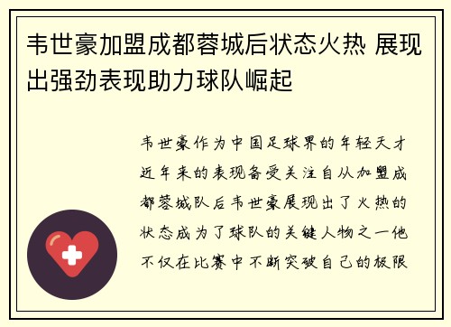 韦世豪加盟成都蓉城后状态火热 展现出强劲表现助力球队崛起